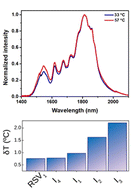 Graphical abstract: Lanthanide doped nanoparticles for reliable and precise luminescence nanothermometry in the third biological window