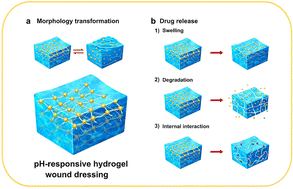 Graphical abstract: pH-Responsive wound dressings: advances and prospects