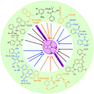 Graphical abstract: Transition metal-free advanced synthetic approaches for isoindolinones and their fused analogues