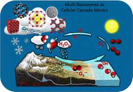 Graphical abstract: Multi-enzyme mimics – cracking the code of subcellular cascade reactions and their potential biological applications