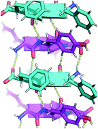 Graphical abstract: The rippled β-sheet layer configuration—a novel supramolecular architecture based on predictions by Pauling and Corey