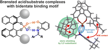 Graphical abstract: Bidentate substrate binding in Brønsted acid catalysis: structural space, hydrogen bonding and dimerization