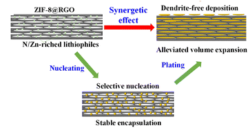 Graphical abstract: A 3D lithiophilic ZIF-8@RGO free-standing scaffold with dendrite-free behavior enabling high-performance Li metal batteries