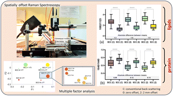 Graphical abstract: Towards non-invasive monitoring of non-melanoma skin cancer using spatially offset Raman spectroscopy