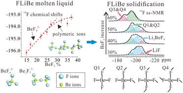 Graphical abstract: Probing the local structure of FLiBe melts and solidified salts by in situ high-temperature NMR