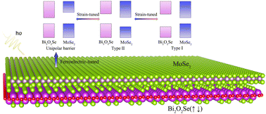 Graphical abstract: Ferroelectric and strain-tuned MoSe2/Bi2O2Se van der Waals heterostructure with band alignment evolution