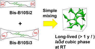 Graphical abstract: Room-temperature Ia [[3 with combining macron]] d phase obtained for the binary mixture containing different sizes of siloxanyl terminals