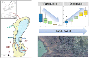 Graphical abstract: Fate of nutrients and trace contaminants in a large shallow soda lake. Spatial gradients and underlying processes from the tributary river to the reed belt