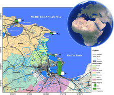 Graphical abstract: Microplastic-sorbed persistent organic pollutants in coastal Mediterranean Sea areas of Tunisia