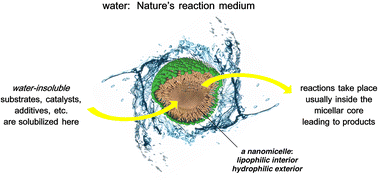 Graphical abstract: On the role of surfactants: rethinking “aqueous” chemistry