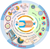 Graphical abstract: Revolutionizing targeting precision: microfluidics-enabled smart microcapsules for tailored delivery and controlled release