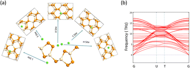 Graphical abstract: Exploring pristine and transition metal doped SiP2 monolayer as a promising anode material for metal (Li, Na, Mg) ion battery