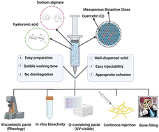 Graphical abstract: Antioxidant flavonoid-loaded nano-bioactive glass bone paste: in vitro apatite formation and flow behavior