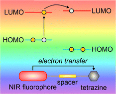 Graphical abstract: Photoinduced electron transfer endows fluorogenicity in tetrazine-based near-infrared labels