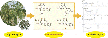 Graphical abstract: Four new isocoumarins from Cajanus cajan