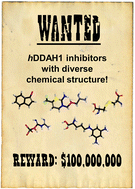 Graphical abstract: Recent advances in DDAH1 inhibitor design and discovery: insights from structure–activity relationships and X-ray crystal structures