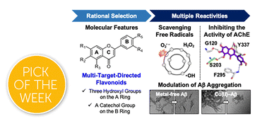 Graphical abstract: Designing multi-target-directed flavonoids: a strategic approach to Alzheimer's disease