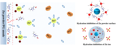 Graphical abstract: Designing multidimensional hydration inhibitor towards the long cycling performance of zinc powder anode
