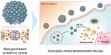 Graphical abstract: Using host–guest interactions at the interface of quantum dots to load drug molecules for biocompatible, safe, and effective chemo-photodynamic therapy against cancer