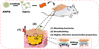 Graphical abstract: Highly active nanoparticle enhanced rapid adsorption-killing mechanism to combat multidrug-resistant bacteria