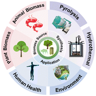 Graphical abstract: Biomass-derived 2D carbon materials: structure, fabrication, and application in electrochemical sensors