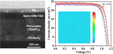 Graphical abstract: Multifunctional pseudohalide-based ionic liquid doping promotes efficient and stable perovskite solar cells