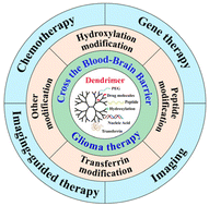 Graphical abstract: Blood–brain barrier-crossing dendrimers for glioma theranostics