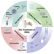 Graphical abstract: Biomaterials as a new option for treating sensorineural hearing loss