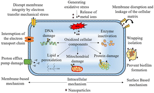 Graphical abstract: Graphene-based metal/metal oxide nanocomposites as potential antibacterial agents: a mini-review