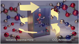 Graphical abstract: An isolable stannaimine and its cycloaddition/metathesis reactions with carbon dioxide