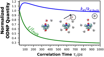 Graphical abstract: Computation of Overhauser dynamic nuclear polarization processes reveals fundamental correlation between water dynamics, structure, and solvent restructuring entropy