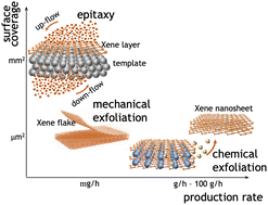 Graphical abstract: Synthesis of Xenes: physical and chemical methods