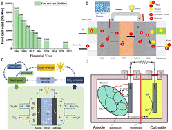 Graphical abstract: A review of fuel cell cathode catalysts based on hollow porous materials for improving oxygen reduction performance