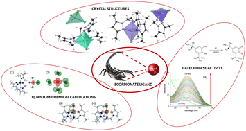 Graphical abstract: Cationic−anionic complexes of Cu(ii) and Co(ii) with N-scorpionate ligand – structure, spectroscopy, and catecholase activity