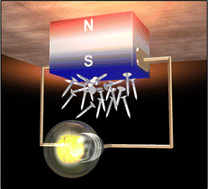 Graphical abstract: Multifunctional composite magnet realizing record-high transverse thermoelectric generation