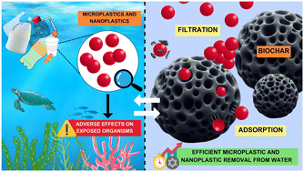Graphical abstract: Biochar applications in microplastic and nanoplastic removal: mechanisms and integrated approaches