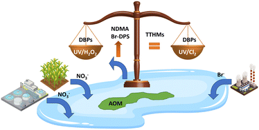 Graphical abstract: Effect of intracellular algal organic matter and nitrate on disinfection byproduct formation in chlorinated water after UV/H2O2 and UV/Cl2 advanced oxidation processes