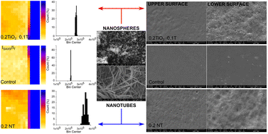 Graphical abstract: The effect of nanoreinforcement geometry on the physical and structural properties of whey protein concentrate/omega-3 rich oil/TiO2 nanocomposite films
