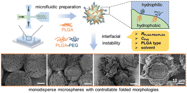 Graphical abstract: Microfluidic preparation of monodisperse PLGA-PEG/PLGA microspheres with controllable morphology for drug release