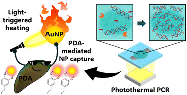 Graphical abstract: Polydopamine-mediated gold nanoparticle coating strategy and its application in photothermal polymerase chain reaction
