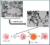 Graphical abstract: Enhancing the magnetic properties of superparamagnetic iron oxide nanoparticles using hydrothermal treatment for magnetic hyperthermia application