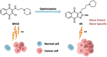 Graphical abstract: Design, synthesis and biological evaluation of naphthalene-1,4-dione analogues as anticancer agents