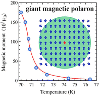 Graphical abstract: Magnetic polarons reach a hundred thousand Bohr magnetons