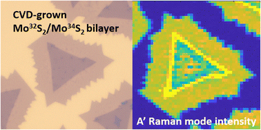 Graphical abstract: Sulfur isotope engineering in heterostructures of transition metal dichalcogenides