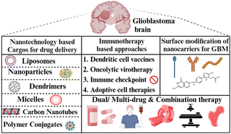 Graphical abstract: Comprehensive review on glioblastoma: nanotechnology, immunotherapy and combined therapeutic approaches