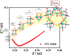 Graphical abstract: Assembly of Si-substituted heteropolyoxotantalate architecture