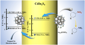 Graphical abstract: Photoredox catalysis enabled by atomically precise metal nanoclusters