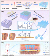 Graphical abstract: A bionic 3D-printed hydrogel microneedle of composite mesh for abdominal wall defect repair