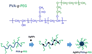 Graphical abstract: Preparation of nanosilver/polymer composites and evaluation of their antimicrobial and antitumor effect