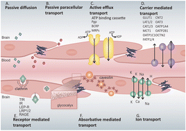 Graphical abstract: Nanoscale drug formulations for the treatment of Alzheimer's disease progression